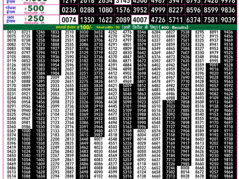 Rajshree Lottery Result Today