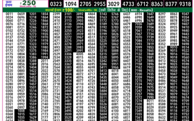 Rajshree 50 Mangal Weekly Lottery 7.30pm Result 30 December 2025