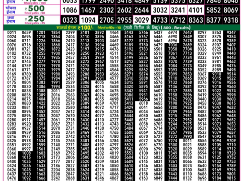 Rajshree Lottery Result Today