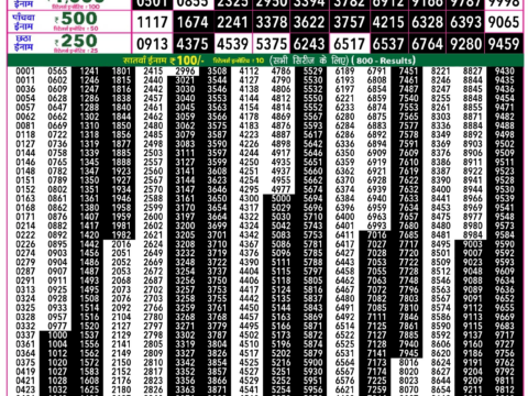 Rajshree Lottery Result Today