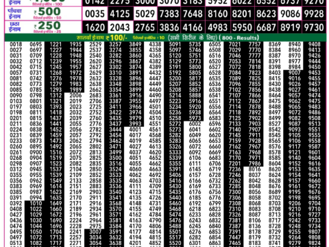 Rajshree Lottery Result Today