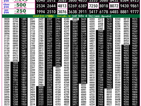 Rajshree Lottery Result Today