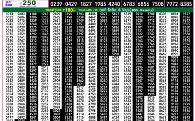 Rajshree 50 Som Weekly Lottery 7:30pm Result 22 December 2025