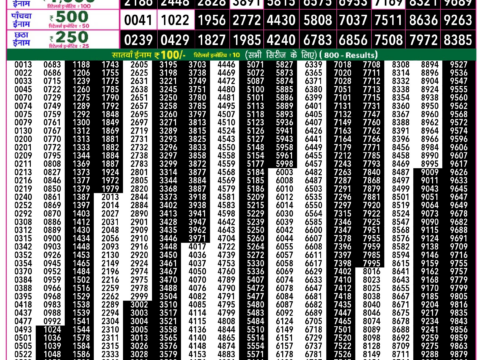 Rajshree Lottery Result Today