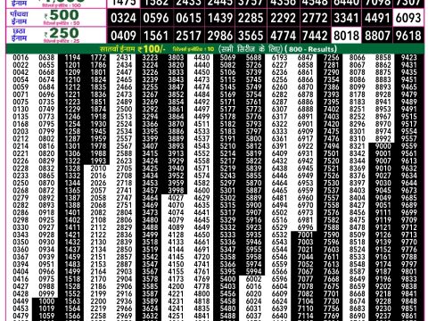 Rajshree Lottery Result Today