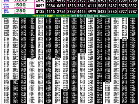 Rajshree Lottery Result Today
