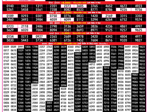 Rajshree Lottery Result Today