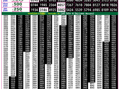 Rajshree Lottery Result Today