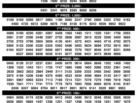 Rajshree Lottery Result Today