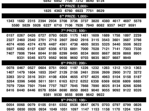 Rajshree Lottery Result Today