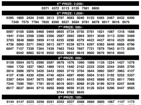 Rajshree Lottery Result Today