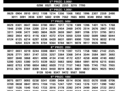 Rajshree Lottery Result Today