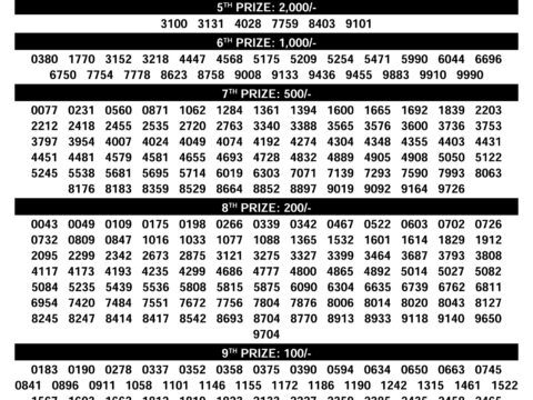 Rajshree Lottery Result Today