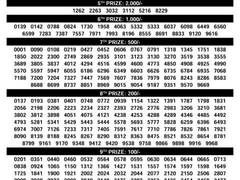 Rajshree Lottery Result Today