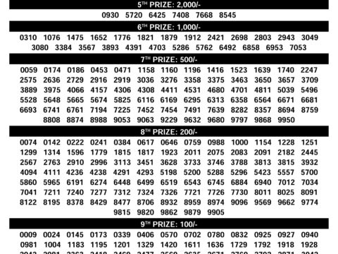 Rajshree Lottery Result Today