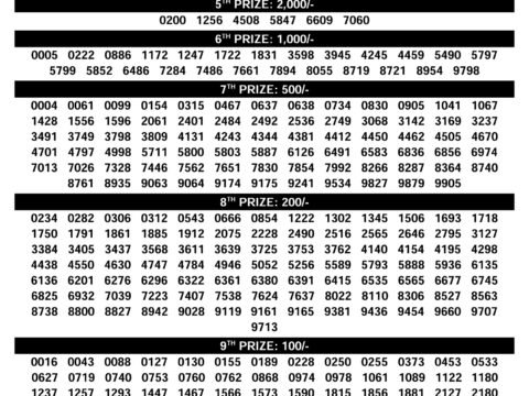 Rajshree Lottery Result Today