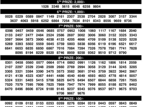 Rajshree Lottery Result Today