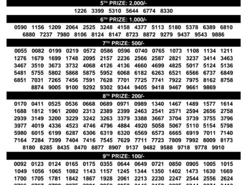 Rajshree Lottery Result Today
