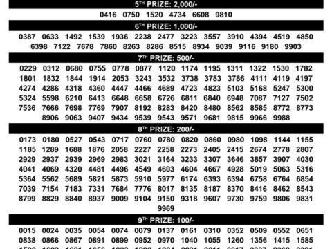 Rajshree Lottery Result Today