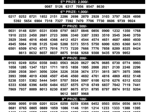 Rajshree Lottery Result Today