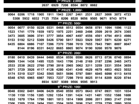 Rajshree Lottery Result Today