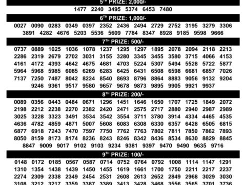 Rajshree Lottery Result Today