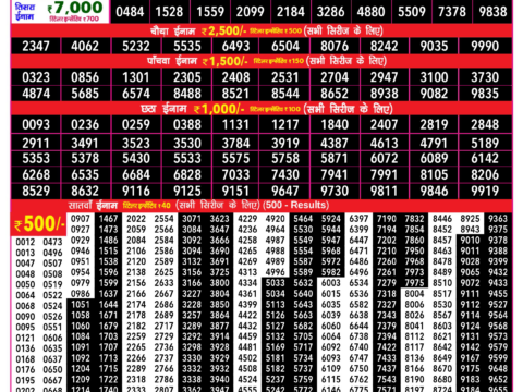 Rajshree Lottery Result Today