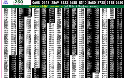 Everest Lottery Result Today Rajshree 50 Ravi Weekly Lottery 7:30pm Result 07 December 2025