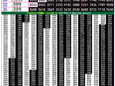 Rajshree Lottery Result Today