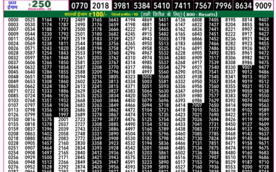 Everest Lottery Result Today Rajshree 50 Shani Weekly Lottery 7.30pm Result 06 December 2025