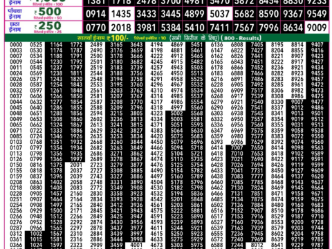 Rajshree Lottery Result Today