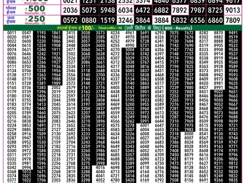Rajshree Lottery Result Today
