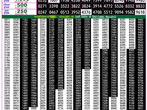 Rajshree Lottery Result Today
