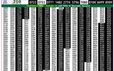 Everest Lottery Result Today Rajshree 50 Mangal Weekly Lottery 7.30pm Result 09 December 2025