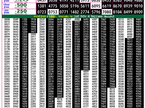 Rajshree Lottery Result Today