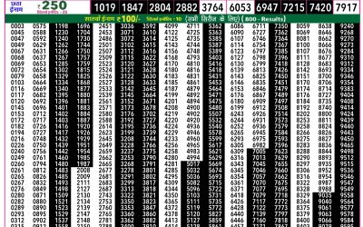 Everest Lottery Result Today Rajshree 50 Guru Weekly Lottery 7:30pm Result 04 December 2025