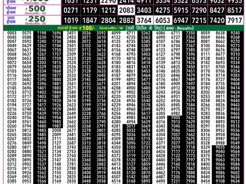 Rajshree Lottery Result Today