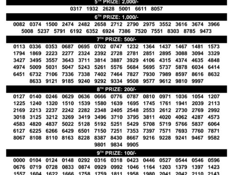 Rajshree Lottery Result Today