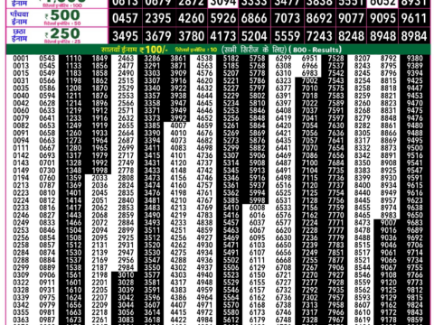 Rajshree Lottery Result Today