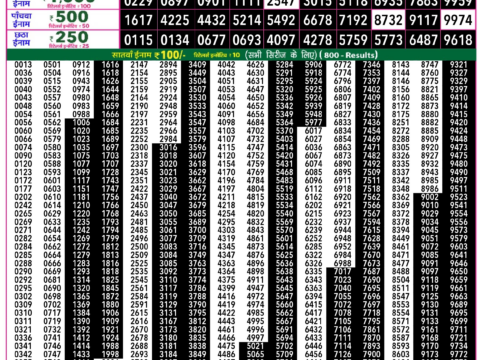 Rajshree Lottery Result Today