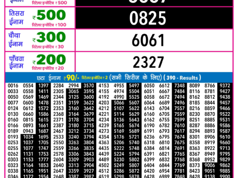 Rajshree Lottery Result Today