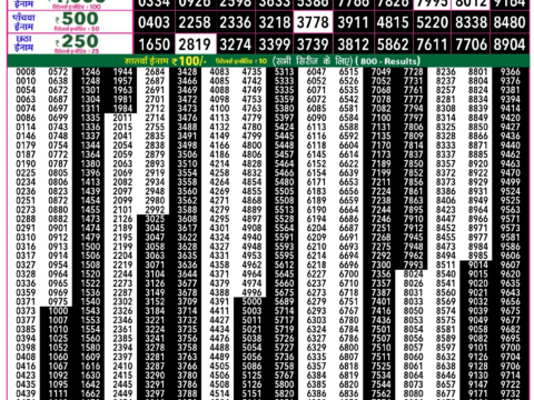 Rajshree Lottery Result Today