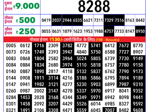 Rajshree Lottery Result Today