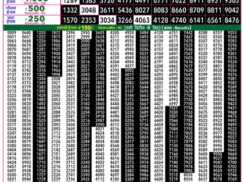 Rajshree Lottery Result Today