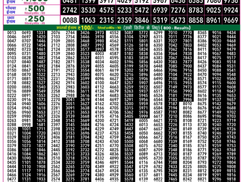 Rajshree Lottery Result Today