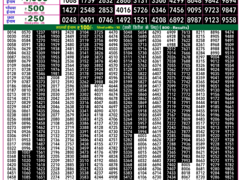Rajshree Lottery Result Today