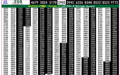 Rajshree 50 Shani Weekly Lottery 7.30pm Result 31 January 2026
