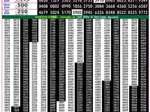 Rajshree Lottery Result Today