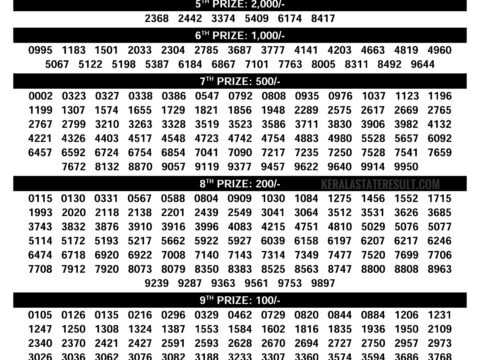 Rajshree Lottery Result Today