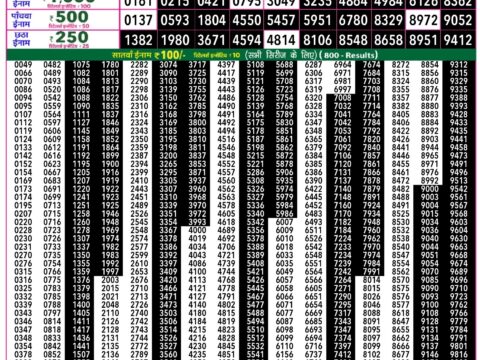Rajshree Lottery Result Today